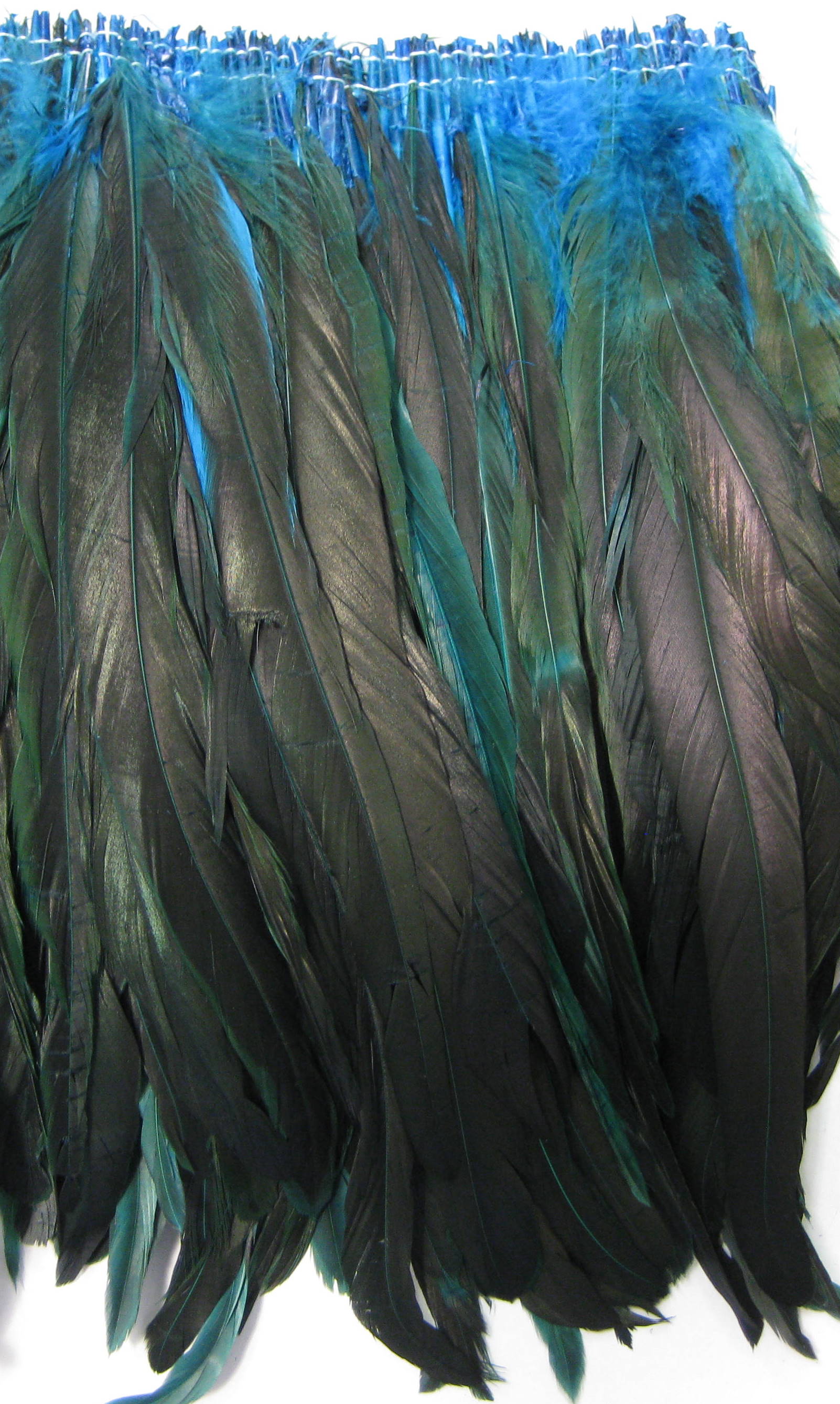 COCK FEATHER COCK FEATHER